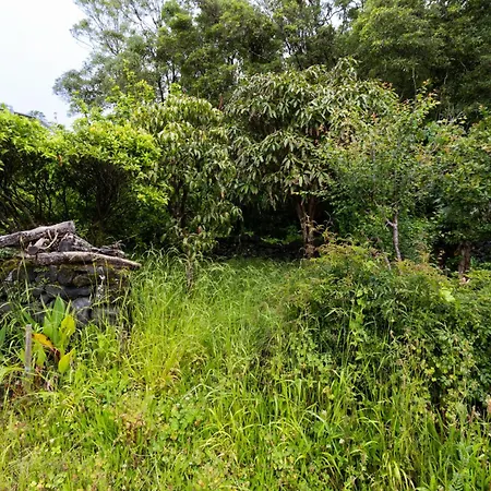 Villa Casa Da Mãe - Entre O Pico E A Maré *
