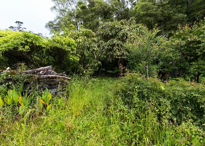 Villa Casa Da Mae - Entre O Pico E A Mare *